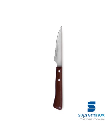 steak knife ternasco plastic