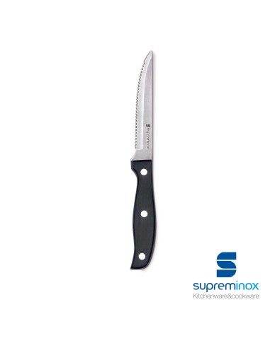 coltello da bisteca lama microdentata ternasco black